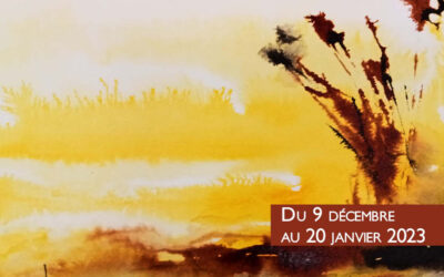 Exposition Audrey Amidieu du Clos